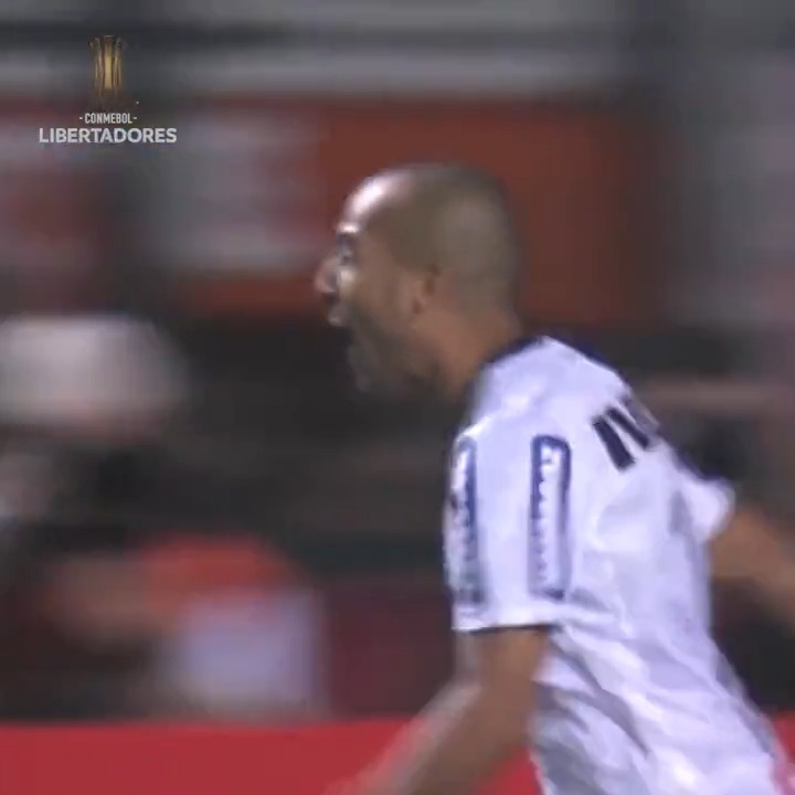 Desde esta final que perdimos contra corinthians algo se rompio, es increible la cantidad de copas que se nos escaparon