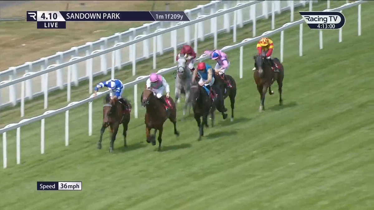 Another thriller Sandown Park 🤯 Caviar Heights was a worthy nemesis, but 𝐖𝐢𝐧𝐝𝐥𝐨𝐫𝐝 edges to Listed glory in the Gala Stakes Sandown Park A quickfire double for Juddmonte, Colin Keane and Andrew Balding 💥