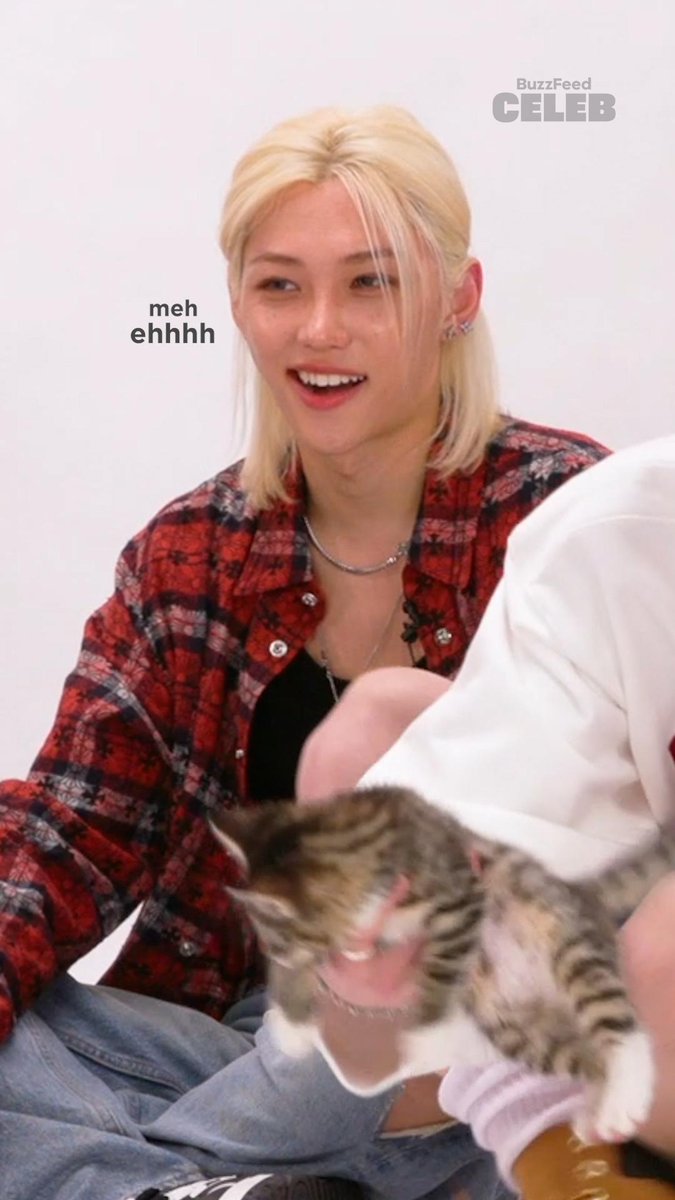 Stray Kids Kitten Interview | Cat Call