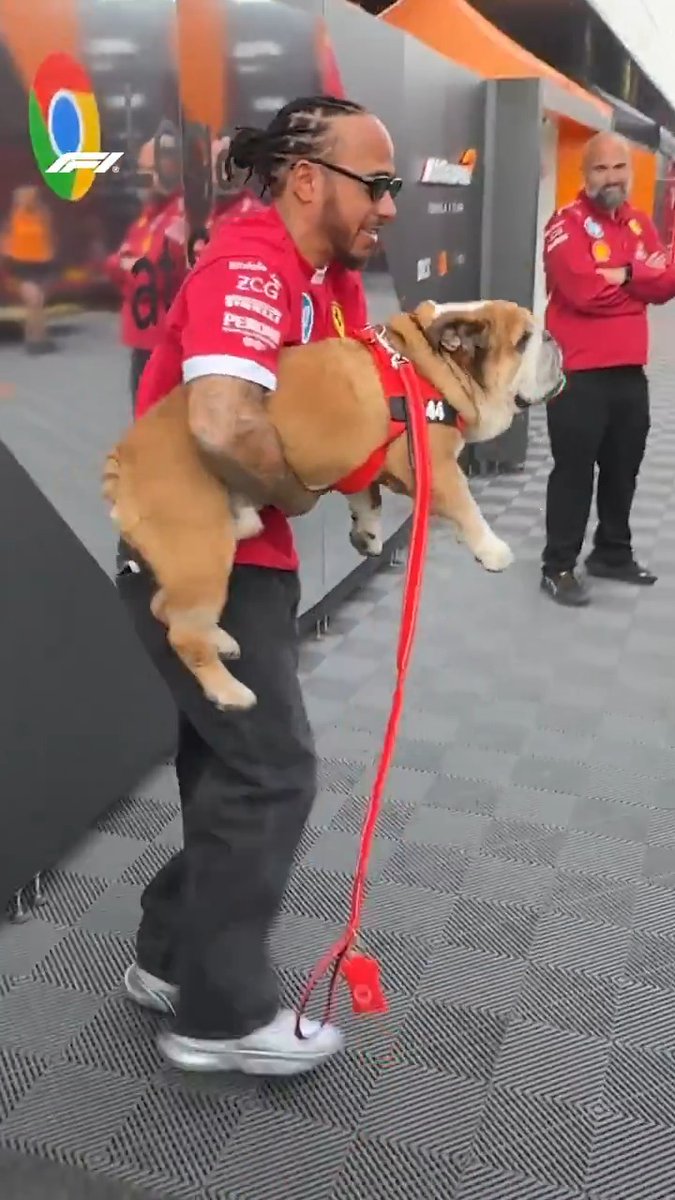 "Hey, old boy" Roscoe in the house 🐾 #F1 #BritishGP