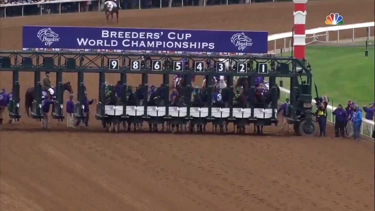American Pharoah, say less. 🇺🇸🙌