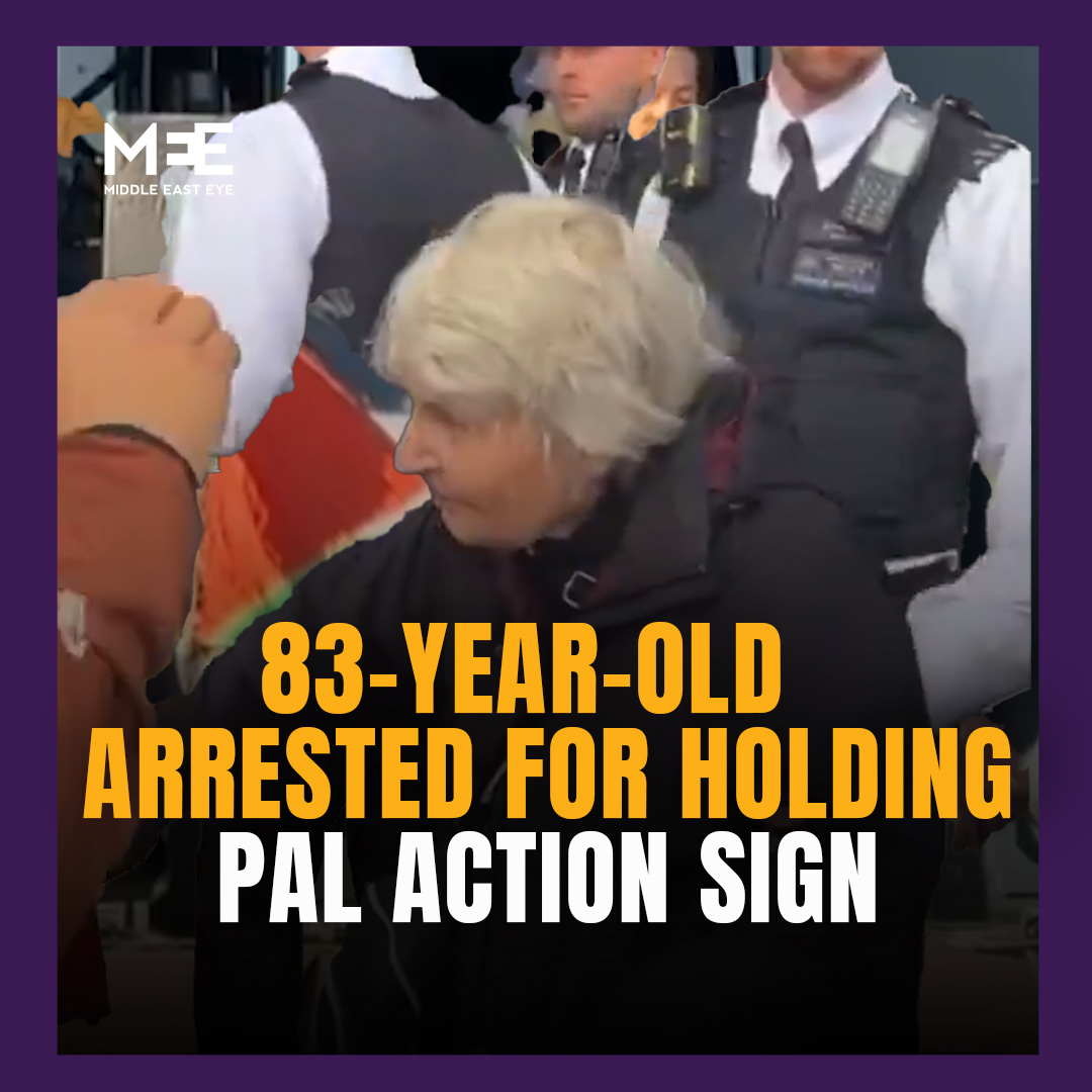 Police in London have arrested an 83-year-old woman for holding a sign expressing support for Palestine Action, the activist group was recently proscribed under the Terrorism Act 2000.