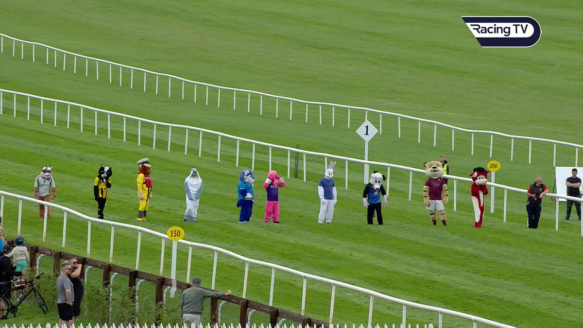 【海外競馬?】 🇮🇪アイルランドのネース競馬場で行われたリーグオブアイルランドマスコットレースは、終盤に"Incredible drama"が発生。 🎥 Naas Racecourse