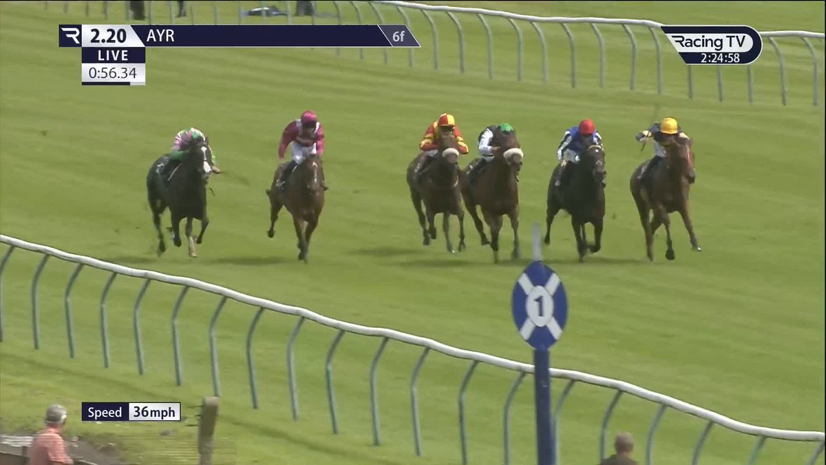 💥 A debut success for Cape Ashizuri (St Mark's Basilica), who finished strongly under Jason Hart for John and Sean Quinn in the Ayrshire Cancer Support British EBF Maiden 🥇 Ayr Racecourse