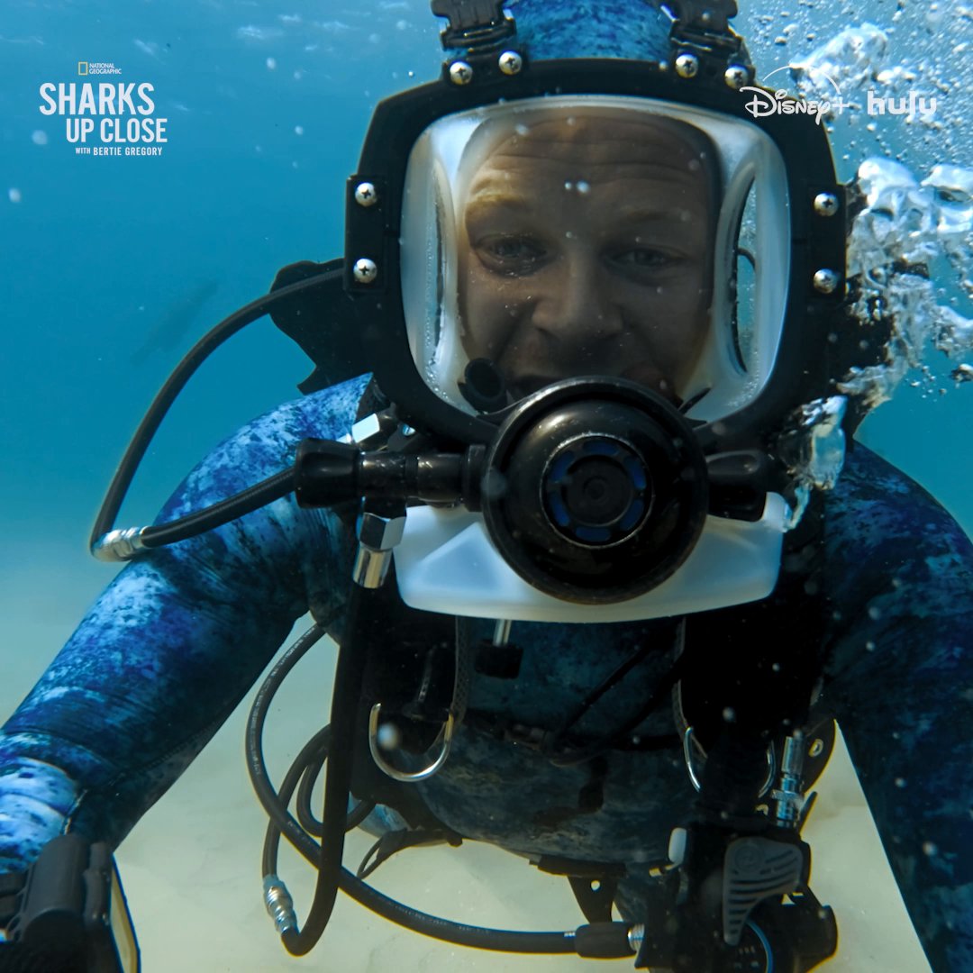 Bertie Gregory went looking for great white sharks, but you won't believe the incredible marine life he encountered along the way. 🌊 #SharksUpClose with Bertie Gregory, part of #SharkFest, is now streaming on Disney+ and Hulu.