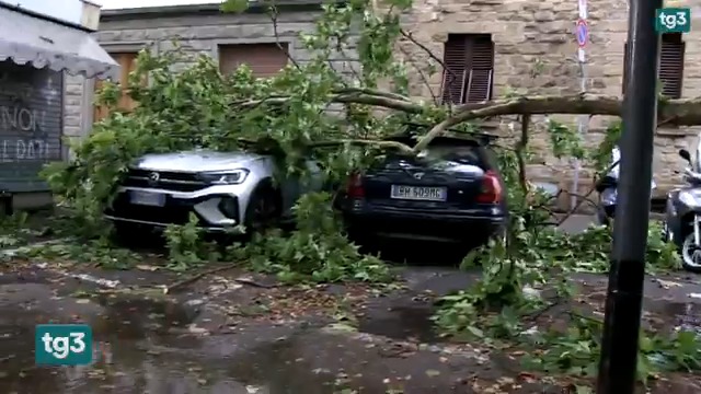 Come previsto, grandine e nubifragi hanno colpito il Nord Italia. Tempesta d'acqua su Milano, chiusi tutti i parchi. Morta una donna schiacciata da un albero a Robecchetto. Resta il caldo al Sud, sfiorati i 44 gradi nel Foggiano