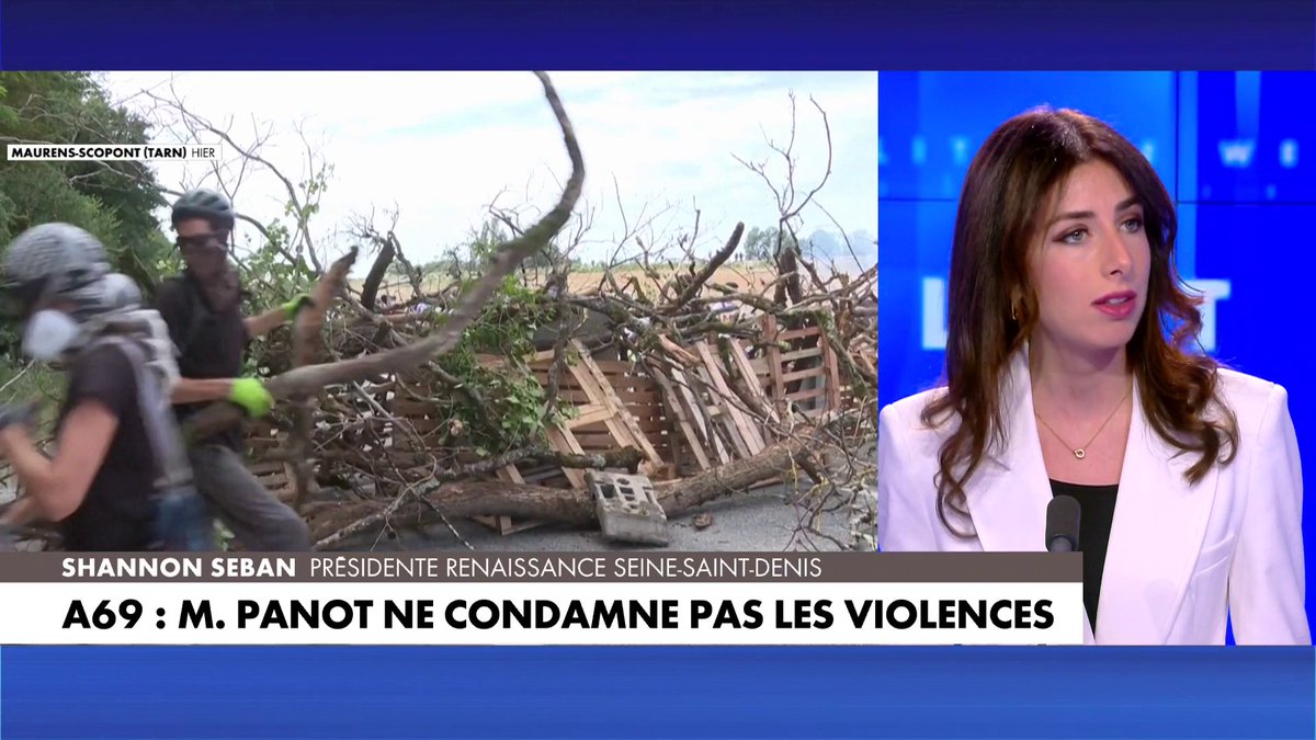Shannon Seban, présidente de Renaissance Seine-Saint-Denis, sur les propos de Mathilde Panot, après les violences survenues lors de la manifestation contre le chantier de l'A69 : «La France insoumise se place systématiquement du côté du chaos»