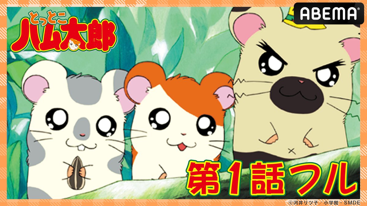 アニメ「とっとこハム太郎」 ABEMAで毎日【無料】配信記念㊗️ 1話「とっとこ登場！ハム太郎」を フル公開🐹🌻 さらに7/7(月)からは TVアニメ25周年を記念して 劇場版「とっとこハム太郎」4作品も無料配信！