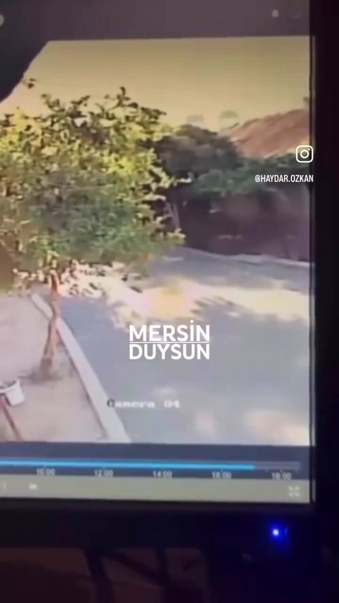 📍MERSİN’de gaddarca cinayet işleyen bu şahsın tutuklanmasını talep ediyoruz❗️ Defalarca üzerinden geçmiş hayvanın görmemesi mümkün değil. Yenişehir Fuat Morel Mahallesi. Mersin Valiliği Mersin Emniyet Müdürlüğü