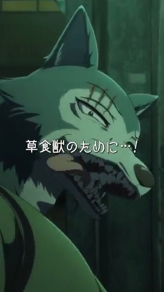 ／ #BEASTARS FINAL SEASON Part2 2026年配信決定記念✨ 切り抜き動画公開!!🎥 ＼ 「草食獣のために」 草食獣を原料とした飲み物を前に、 レゴシは怒る。 ▽公式Tiktokはこちらから！ ▽Youtubeショートでも公開中！ #bstanime