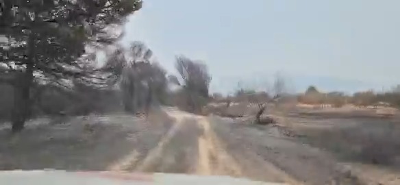 Un paisatge completament cremat: és el rastre de l'incendi que fa més de 24 hores que crema al Baix Ebre. El foc, atiat pel mestral, avança encara sense control #IFPaüls