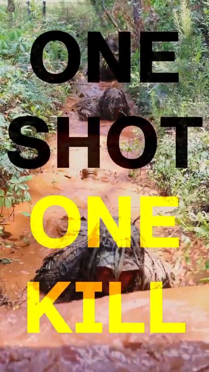 One Shot! Army Snipers vanish into the terrain—then strike without warning. Watch them sharpen their edge in Ghillie Wash training. 📹 Brandon Dorrill