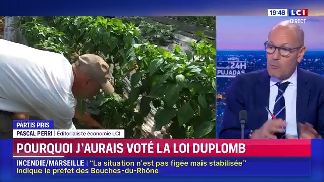 📢 : « Pourquoi j’aurais voté la loi Duplomb », le parti pris #économique de Pascal Perri PERRI #24hPujadas #LCI #La15 ⤵️