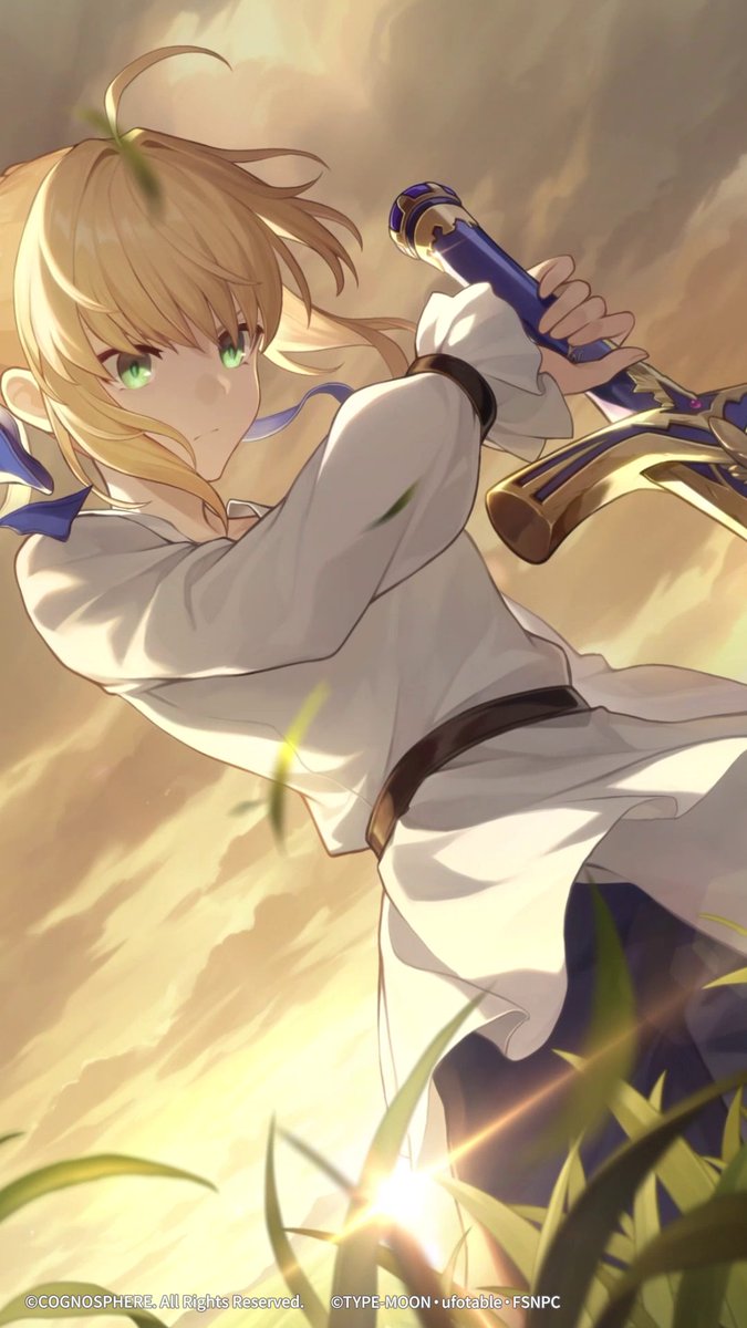 報われぬ戴冠 — 光の残影 #崩壊スターレイル #スターレイル #セイバー #スターレイルxFate_UBW