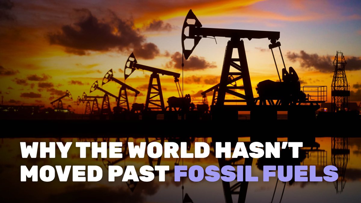 America gets more than 80% of its energy from fossil fuels. That’s pretty standard among wealthy countries … with one major exception.