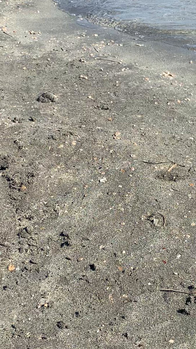 Görmeden kaçtı öperken ben ayak izlerini