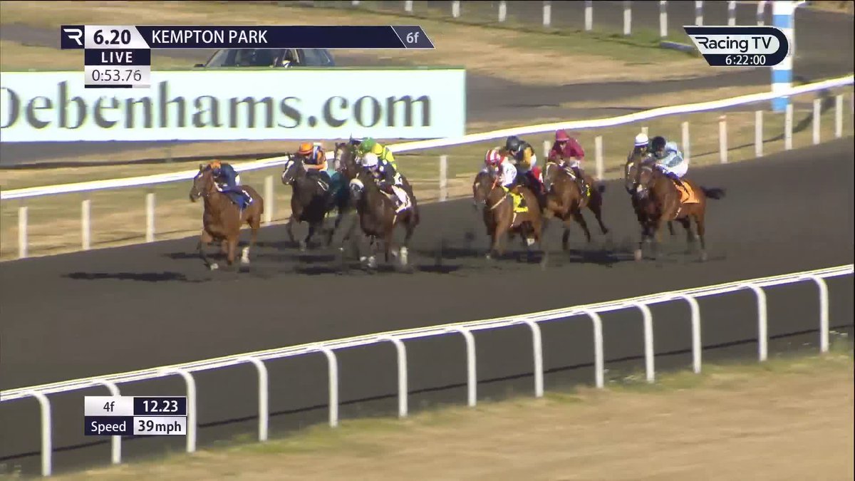 600,000gns buy Dandana (Blue Point) is not for passing on debut for Gainsborough Thoroughbreds Kempton Park Racecourse