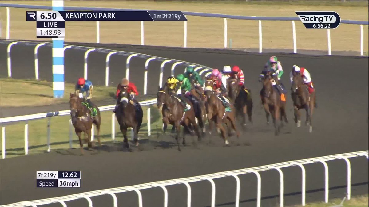 He looks smart. The beautifully-bred Skimmer (Kingman) makes it two from two for Colin Keane, Harry Charlton and Juddmonte at Kempton Park Racecourse