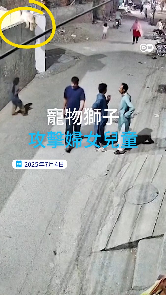 “宠物狮子”当街袭击妇女、儿童 在家里养狮子、老虎？不少巴基斯坦人会这么做，还将其看作是身份象征。不久前，一头逃脱的“宠物狮子”在街上袭击行人。如今，巴基斯坦当局开始严打这种私人饲养宠物狮子、老虎的行为。