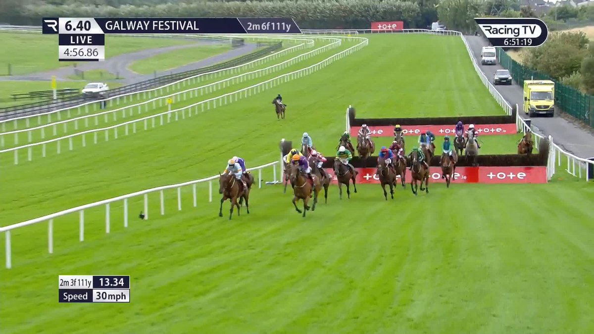 🤞 Wishing a long and happy retirement to former Galway Plate winner ASH TREE MEADOW. 👍 A winner of three Graded races over fences, he was a 160-rated chaser at the peak of his career.
