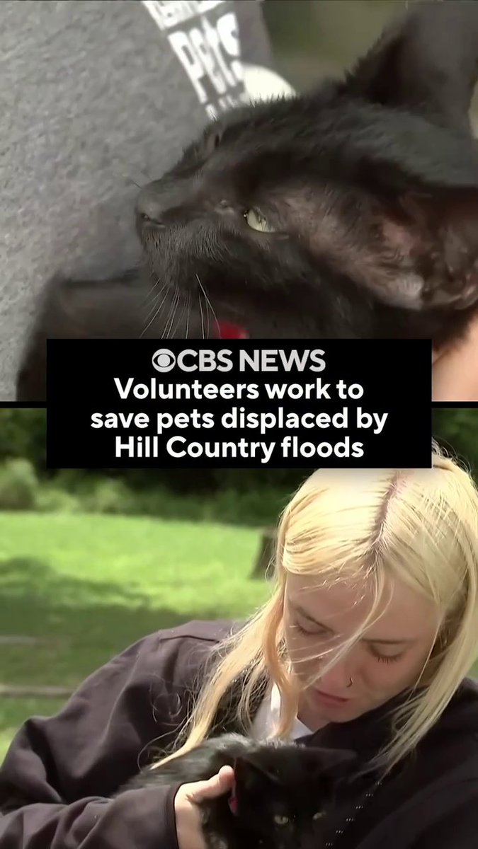 With at least 120 people confirmed to have died and dozens still missing in the devastating Hill Country floods in Texas, many pets have been displaced. Now, volunteers in Kerrville are working to save dogs, cats, horses and other animals that have been separated from their owners.