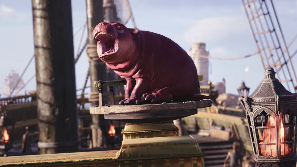Say hello to our newest companion, a Baby Hippo 🦛 Fair to say you kept us entertained with your guesses, Captains 🧐 Were you close with your guess?