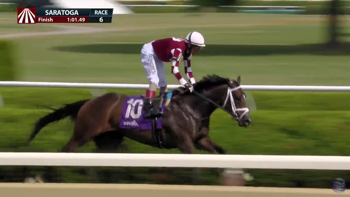 Cy Far is a dominant winner in R6 at Saratoga under John Velazquez for trainer George Weaver! 💪