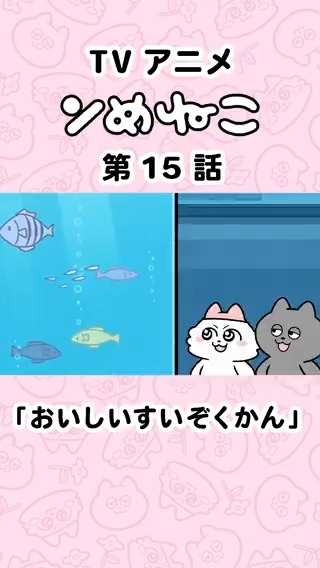  ̄ ̄ ̄ ̄ ̄ ̄ ̄ ̄ ̄ ̄ ̄ ̄ ̄ ̄ ̄ アニメ ンめねこ 第15話「おいしいすいぞくかん」 フル尺まるっと公開🎞️✨  ̄ ̄ ̄ ̄ ̄ ̄ ̄ ̄ ̄ ̄ ̄ ̄ ̄ ̄ ̄ 見逃した方も、もう一度観たい方も📺 無料配信は1週間限定なのでお見逃しなく🫶🏻