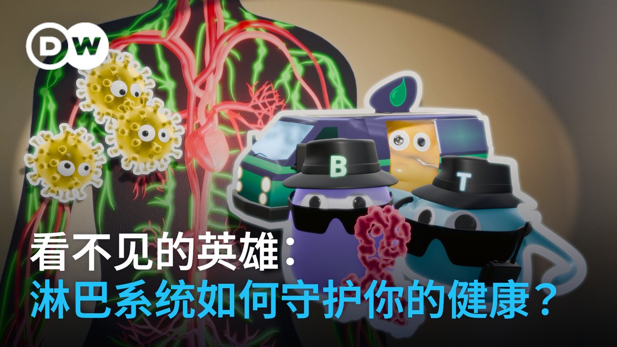 看不见的防线:淋巴系统如何守护你的健康? 今天让我们一起来认识人体中常常被忽略的免疫系统英雄──全天候守护我们身体的淋巴系统。它为免疫系统执行不可或缺的任务,可以辨识病原体、训练专门的免疫细胞,并维持体液的平衡。 #dwscience #dwhealth