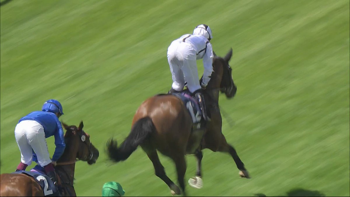 A 20-1 winner! 🥇 Obelix wins the William Hill Extra Place Races Daily Handicap! Julie Camacho Racing | York Racecourse