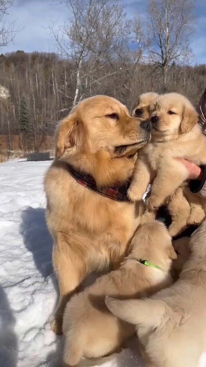 Best dad ever