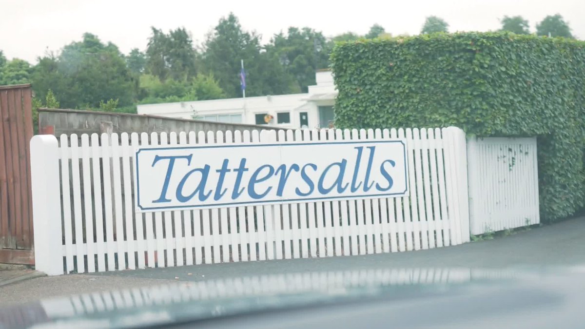 A busy week at Newmarket both on and off the track! We go behind the scenes of the Tattersalls July Sale 🏇 Tattersalls | Newmarket Racecourse