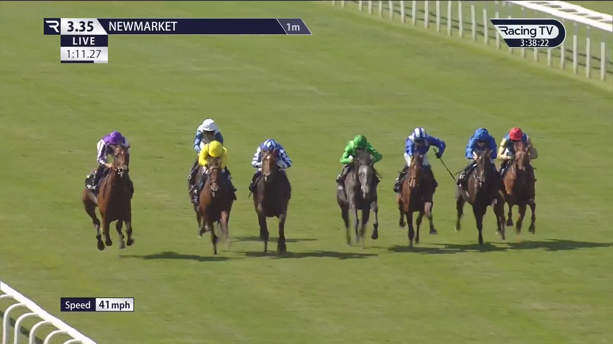🔵 Cinderella's Dream - back in business with Tattersalls Falmouth Stakes glory