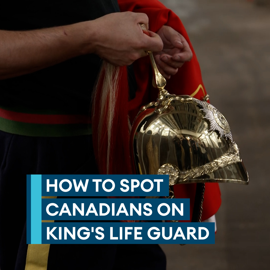 How do you spot Canadians? 🧐🍁 For just the 3rd time, a non-UK unit will take over duties as The King's Life Guard💂 The UK's Household Cavalry Mounted Regiment is passing on the role to Canada's Lord Strathcona's Horse. Find out how to spot the Strathconas👀⬇️