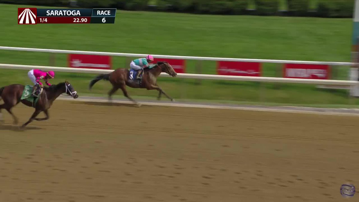 Dr. Agne, the son of champion Lady Eli, wins on debut in R6 at Saratoga! 👑 A very special win for trainer Cherie DeVaux! Jose Ortiz was aboard.
