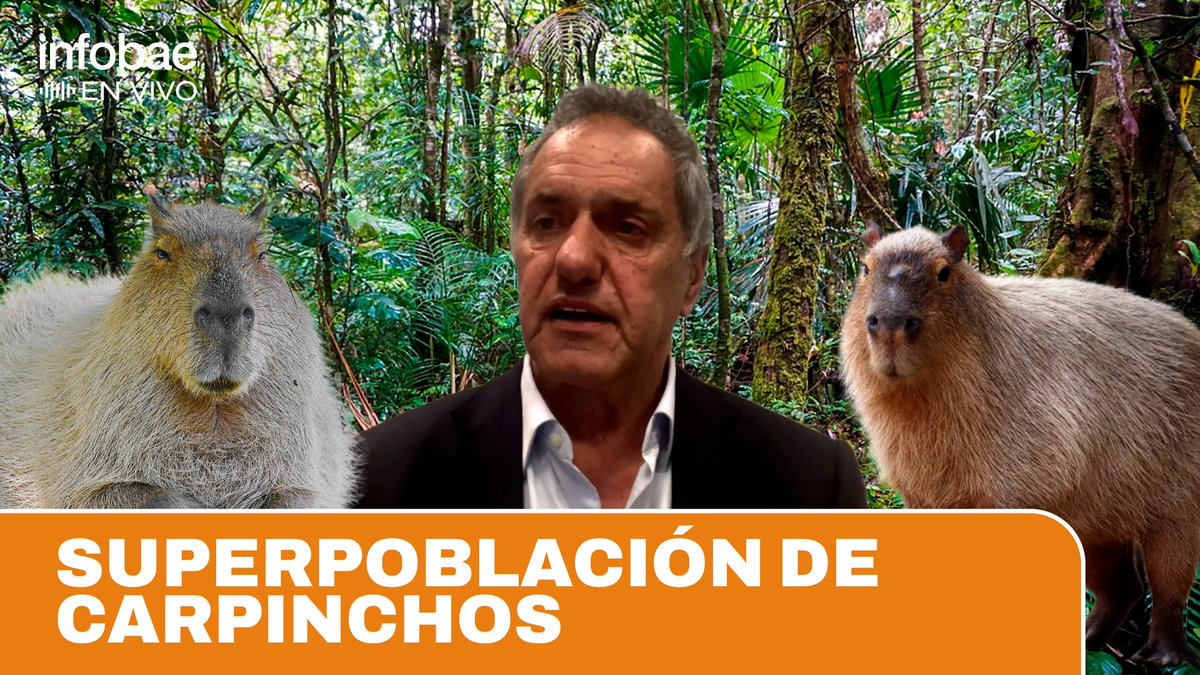 🟠 Infobae en vivo | SUPERPOBLACIÓN DE CARPINCHOS Daniel Scioli, secretario de Turismo y Ambiente de la Nación, busca implementar un programa de relocalización de los roedores, con acuerdo de los vecinos de Nordelta. 👉 Acompañanos hasta las 20hs acá