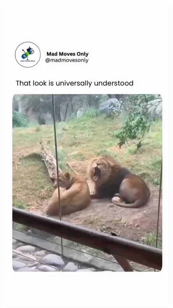 "You see what I mean?"