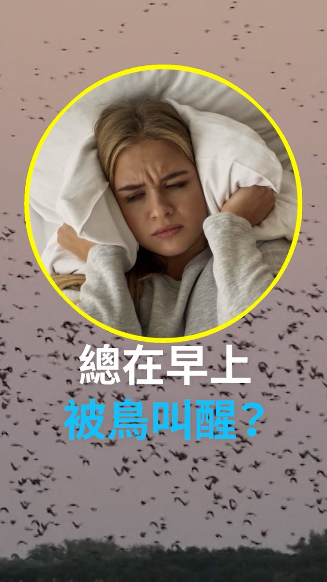 总在早上被鸟叫醒? 为何鸟总在清晨高声鸣叫?有研究认为,鸟叫是宣示领地主权的方式,也有理论认为,鸟鸣是鸟类间交流食物来源以及警告捕食者的一种方式。 #dwscience #dwhealth