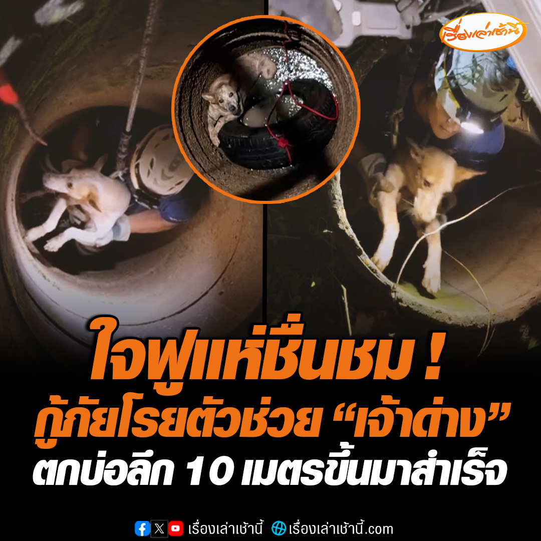 เจ้าหน้าที่หน่วยกู้ภัยวีอาร์บ้านดุงเข้าช่วยเหลือ “เจ้าด่าง” สุนัข 2 ขวบ ตกท่อน้ำลึกประมาณ 10 เมตร ไม่ค่อยมีแรงใกล้จมน้ำ ต้องรีบใช้รอกโรยตัวลงไปช่วย พาขึ้นมาได้ปลอดภัย ซึ่งเจ้าด่างส่ายหางขอบคุณก่อนวิ่งไปหาเจ้าของทันที #เรื่องเล่าเช้านี้ #ข่าวช่อง3 #ข่าวภูมิภาค #อุดรธานี