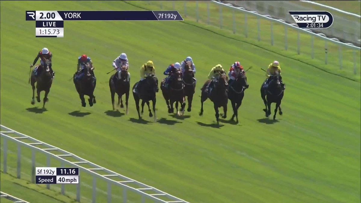 'And it was all yellow...' 🟡🟡🟡 Remmooz prevails in the John Smith's Racing Handicap York Racecourse for Owen Burrows and Kevin Stott in a battle of the yellow silks at the line! 💥