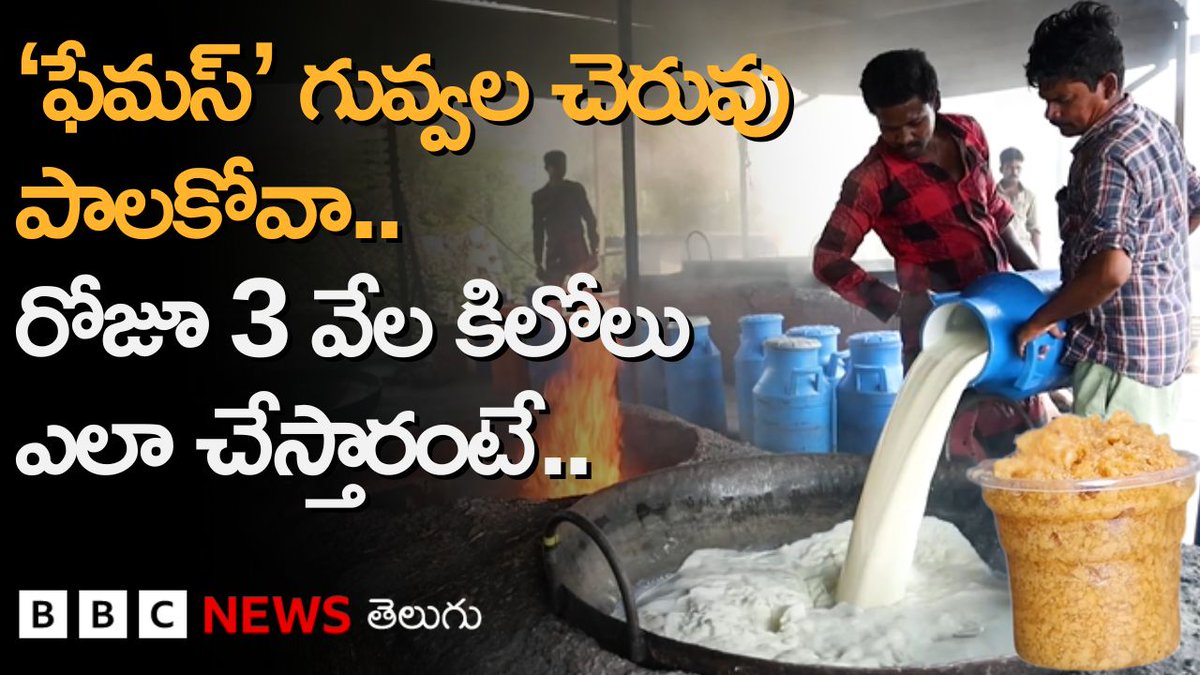 కడప నుంచి చిత్తూరుకు వెళ్లే మార్గంలో గువ్వల చెరువు వద్ద విక్రయించే పాలకోవా ‘చాలా పాపులర్’..రోజూ 3 వేల కేజీల పాలకోవా సిద్ధం చేస్తామని తయారీదారులు చెబుతున్నారు. ఈ పాలకోవాను ఎలా తయారు చేస్తారు? #palakova #guvvalachervu #sweet #food #andhrapradesh