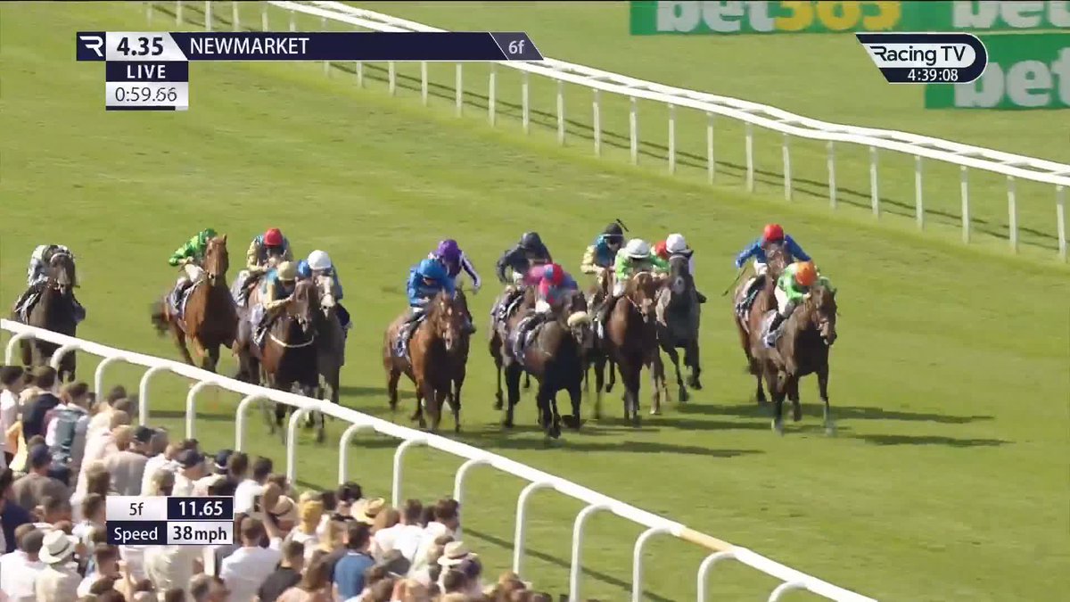 66/1 winner! 🤯 NO HALF MEASURES WINS THE Al Basti Equiworld Dubai JULY CUP🏆 Newmarket Racecourse