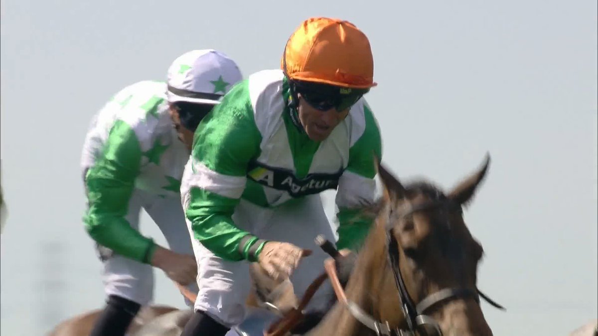 The biggest price winner EVER of the July Cup! 😱 66-1 No Half Measures wins the Al Basti Equiworld Dubai July Cup at Newmarket 🏆 Neil Callan
