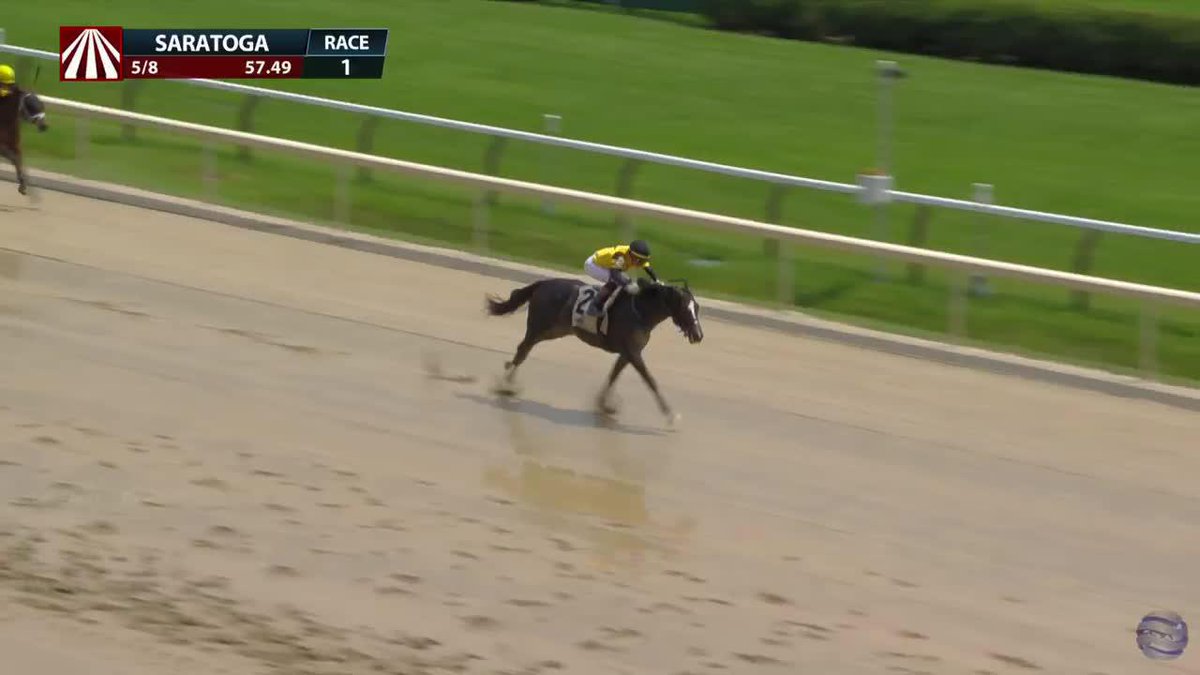 Curtain Call opens up and dominates in the opener at Saratoga under Jose Ortiz for trainer Mark Casse! 🏇