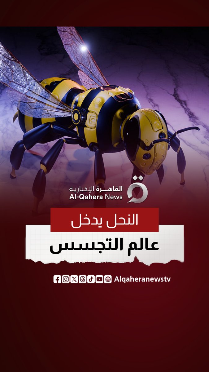 كاميرات على ظهر النحل! الصين تطلق جيشًا طائرًا للتجسس.. وأمريكا واليابان في السباق #القاهرة_الإخبارية