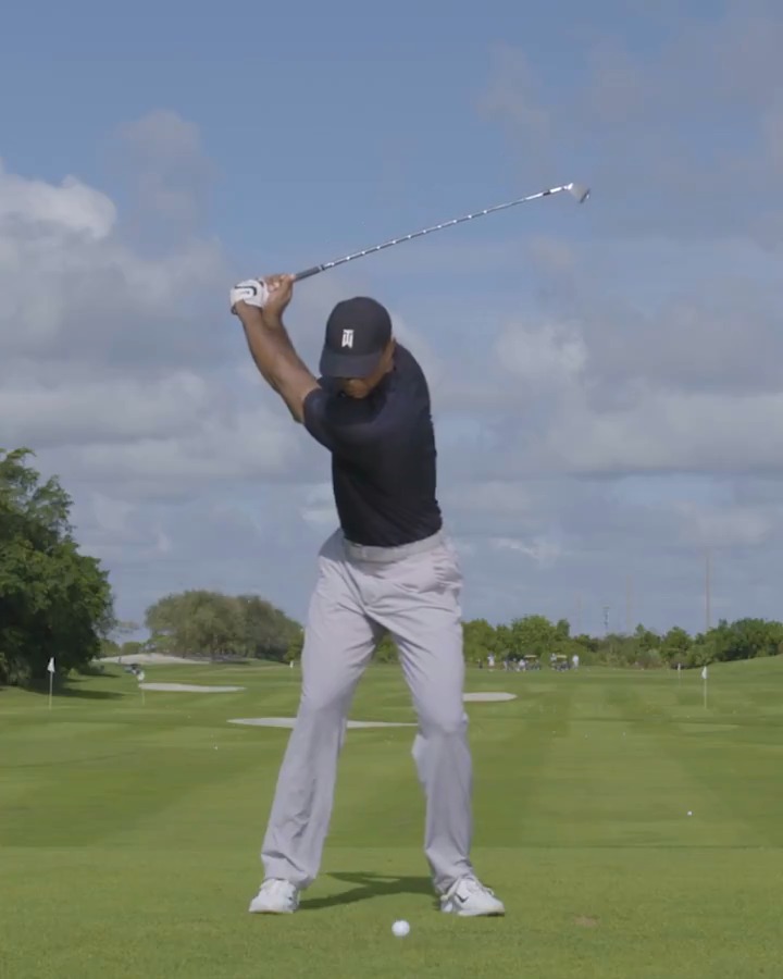 Tiger slow-mo stinger. 😍