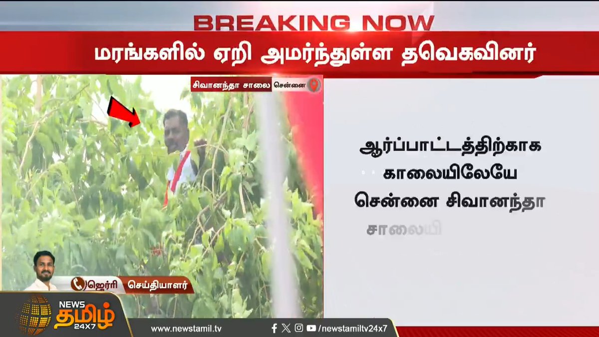 விஜய் தலைமையில் போராட்டம்.. மரங்களில் ஏறி அமர்ந்துள்ள தவெகவினர்.! #TVK #Vijay #VijayProtest #TNDemandsJustice #TVKForTN #Arrest #TamilagaVettriKazhagam #TVKProtest #AjithKumar #TNPolice #sivagangai #TamilNews #NewsTamil #NewsTamil24x7
