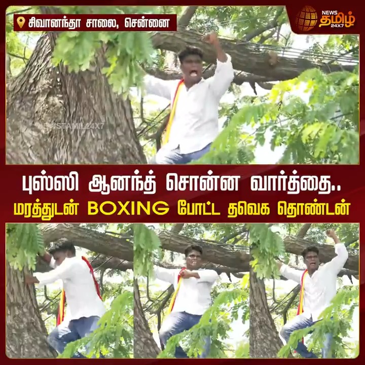 புஸ்ஸி ஆனந்த் சொன்ன வார்த்தை.. மரத்துடன் BOXING போட்ட தவெக தொண்டன்.! #TVK #Vijay #VijayProtest #TNDemandsJustice #AadhavArjuna #BussyAnand #TVKForTN #Arrest #TamilagaVettriKazhagam #TVKProtest #AjithKumar #TNPolice #sivagangai #TamilNews #NewsTamil #NewsTamil24x7