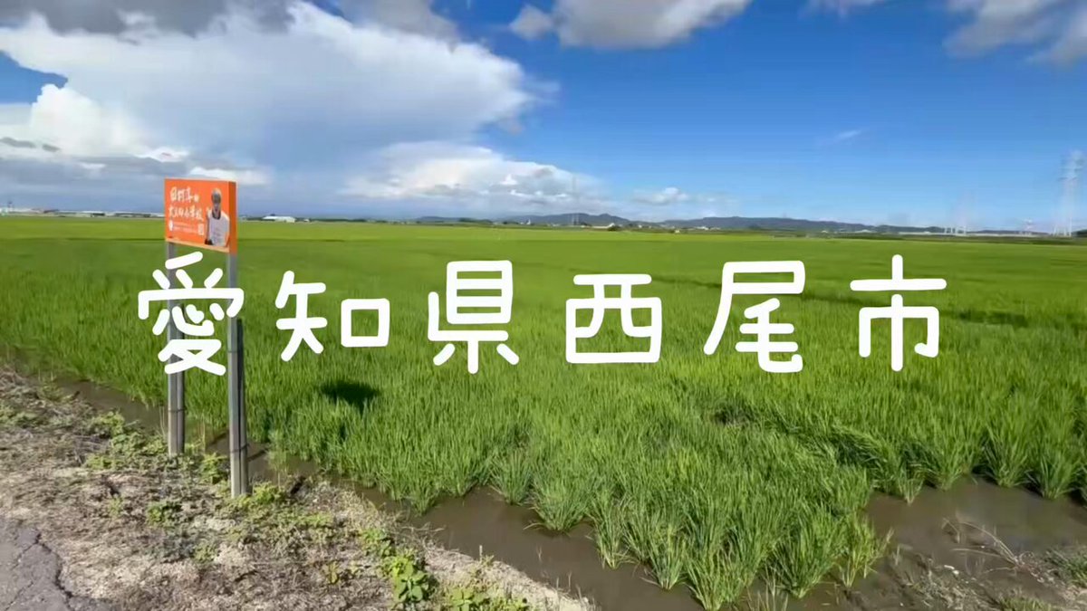 お米を全国2カ所で育てています。 大人も子供も田植え、稲刈り体験 田村淳の大人の小学校