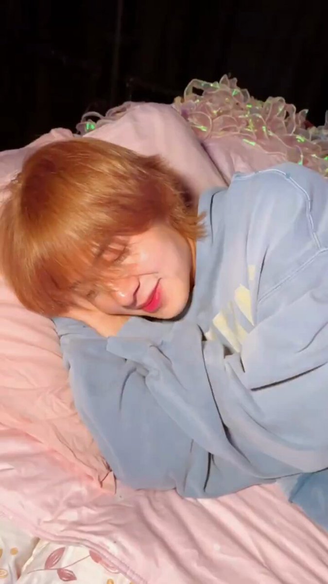 ลูกแมวจิ๋วของแมร่ ทำไมน่ารักนุ่มนิ่มขนาดนี้🥺🩵
